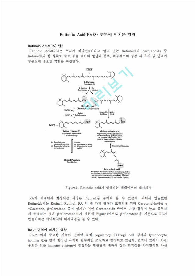 [의학,약학] 의학 - Retinoic Acid(RA)가 면역에 미치는 영향.hwp